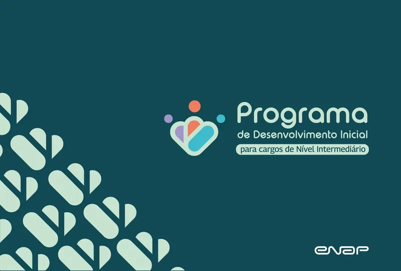PDI para Cargos de Nível Intermediário